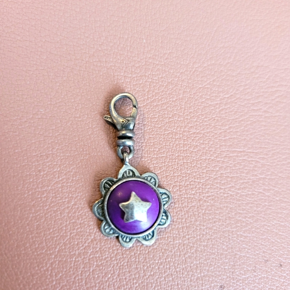 Silpada Shield of Beauty Charm